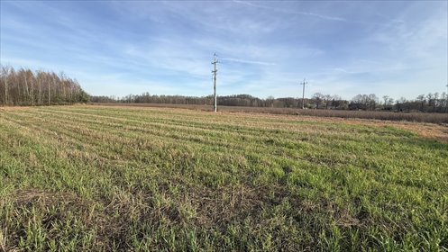 działka na sprzedaż 1083m2 działka Anielin Swędowski