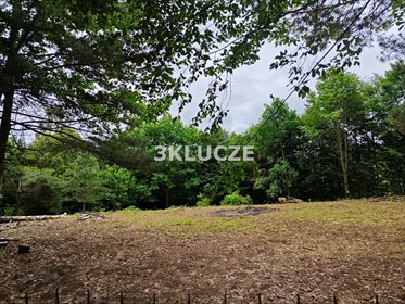 Na sprzedaż działka 2400 m² w Dąbrowicy z dostępem do mediów działka Dąbrowica