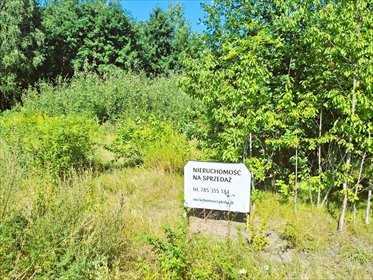 Do sprzedania działka 13 161 m² w Wołominie działka wołomiński, 1 Maja