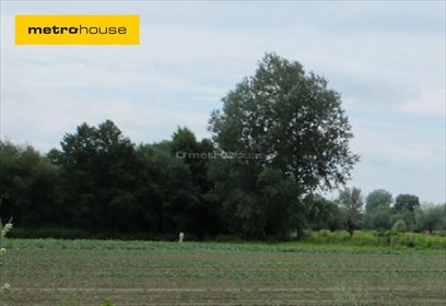 działka na sprzedaż 54372m2 działka Gniewniewice Folwarczne