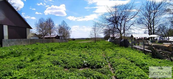 Działka budowlana na sprzedaż Aleksandrów 8 800m2 Foto 7