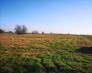 działka na sprzedaż 3000m2 działka Lipowa Góra Wschodnia