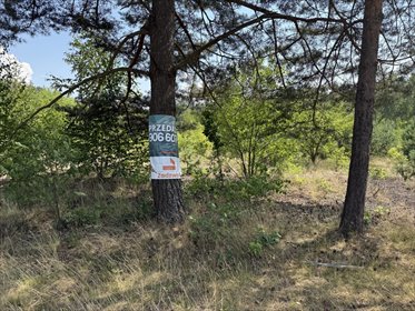 Działka rekreacyjna, 2625m2, Osina, gm. Kluki działka Osina