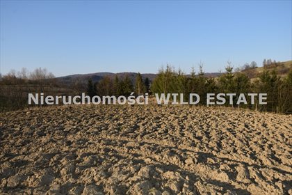działka na sprzedaż 3561m2 działka Lesko, Średnia Wieś