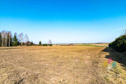 Działka budowlana na sprzedaż Różnowo 2 419m2 Foto 6