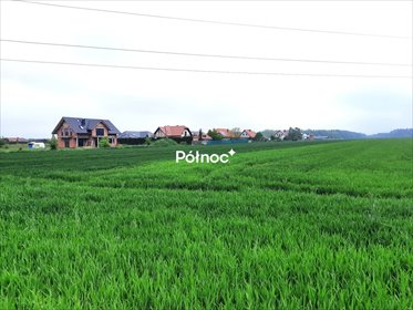 działka na sprzedaż 3000m2 działka Łaziska