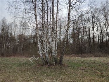 działka na sprzedaż 3000m2 działka Radonie