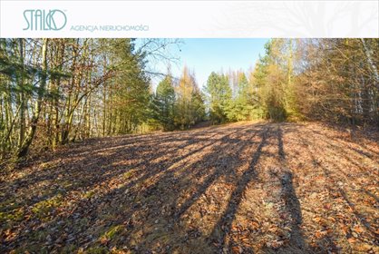 Działka budowlana na sprzedaż Ustarbowo, Na Wzgórzu 2 524m2 Foto 5