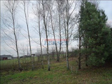 Działka budowlana pod dzierżawę Biały Ług, Biały Ług 12 300m2 Foto 4