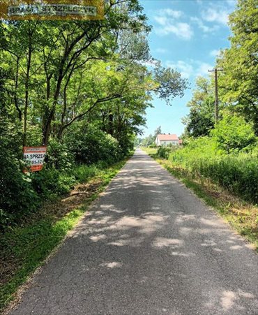 działka na sprzedaż 11800m2 działka Korabiewice