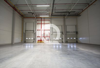 Magazyn na wynajem Nowy Świat 6 909m2 Foto 4