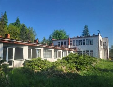 Zapraszam do obejrzenia dużego lokalu 1181 m² w Zaborzu lokal użytkowy Zaborze