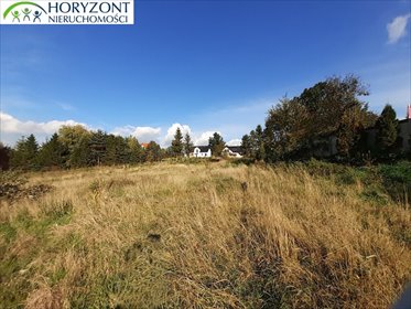 Do sprzedania działka budowlana 2658 m² z warunkami zabudowy działka Czaple