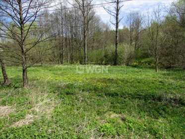Działka inwestycyjna na sprzedaż Szklary, Szklary, Szklary 1 800m2 Foto 5