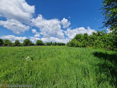 działka na sprzedaż 4100m2 działka Trojanowice