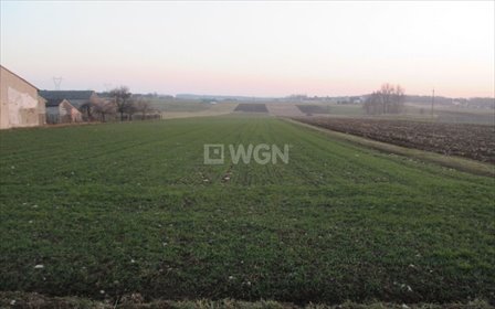 działka na sprzedaż 16921m2 działka Pińczyce, Pińczyce