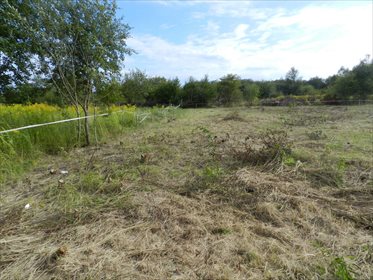 działka na sprzedaż 1371m2 działka Szczecin, Warszewo