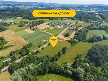 Na sprzedaż działka budowlana 12 200 m² w Rzepienniku działka Rzepiennik Strzyżewski, Turza