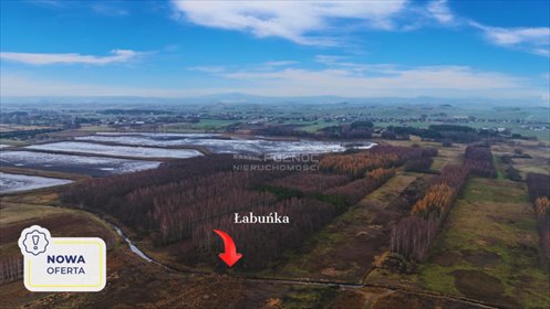 działka na sprzedaż 10800m2 działka Pniówek