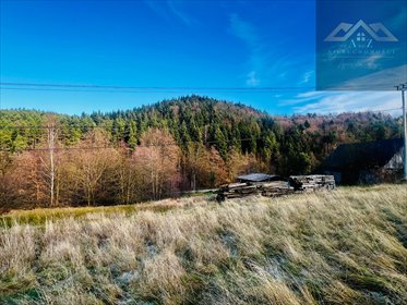 działka na sprzedaż 4900m2 działka Łęki