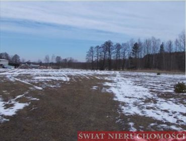 Działka budowlana na sprzedaż Skoroszów 6 300m2 Foto 3