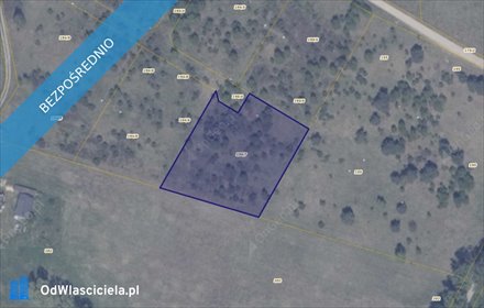 działka na sprzedaż 3001m2 działka Ełganowo