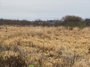 działka na sprzedaż 1177m2 działka Mierzyn, Ozdobna