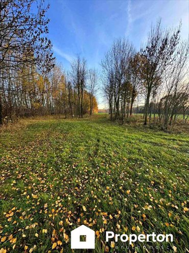 działka na sprzedaż 24700m2 działka Łomnica