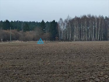 działka na sprzedaż 3000m2 działka Szczenurze