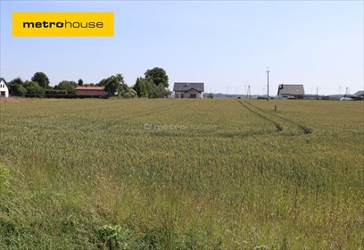 działka na sprzedaż 1926m2 działka Czernin