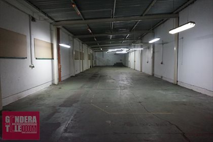 lokal użytkowy na wynajem 1510m2 lokal użytkowy Poznań, Grunwald