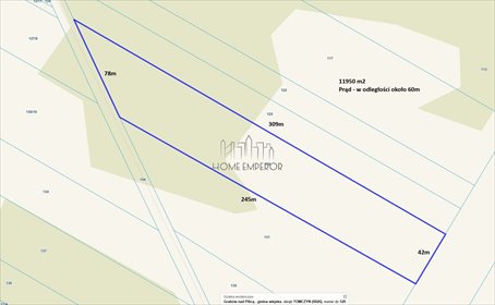 Sprzedam działkę 11 950 m² w Tomczyniu z mediami w pobliżu działka Tomczyn