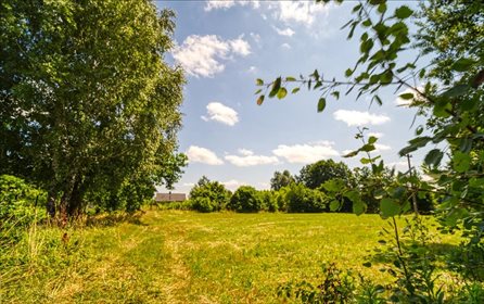 Działka inwestycyjna na sprzedaż Sitne 8 900m2 Foto 1