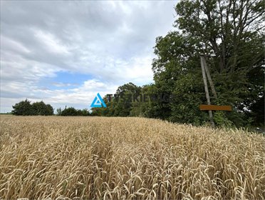 działka na sprzedaż 1050m2 działka Skarszewy, Kamierowska