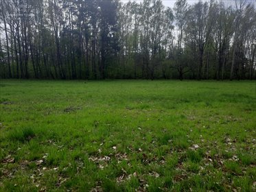 Działka budowlana na sprzedaż Nowy Prażmów, al. Główna 2 119m2 Foto 2