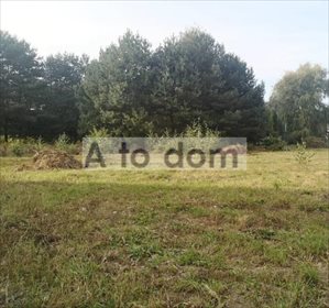 Działka budowlana na sprzedaż Ostrówek 1 343m2 Foto 1
