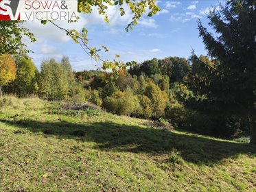 działka na sprzedaż 2408m2 działka Niedźwiedzica