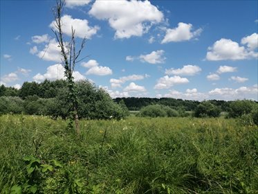 Działka rolna na sprzedaż Krąplewo 9 213m2 Foto 1