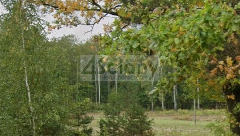 działka na sprzedaż 1402m2 działka Rusiec