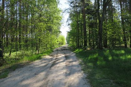 Działka rolna na sprzedaż Słupica 8 100m2 Foto 3