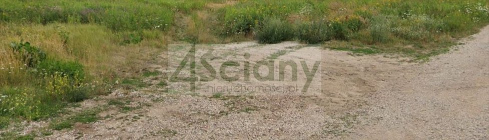Polecam działkę 1300 m² pod zabudowę jednorodzinną działka Warszawa, Białołęka, Brzeziny