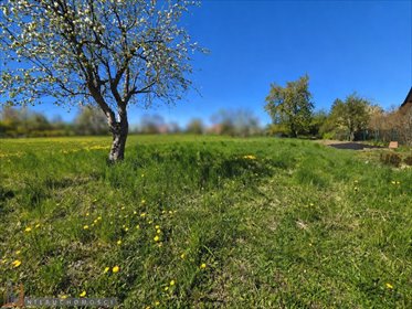 działka na sprzedaż 946m2 działka Przybysławice