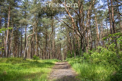 mieszkanie na sprzedaż 57m2 mieszkanie Lędowo-Osiedle, Pionierska