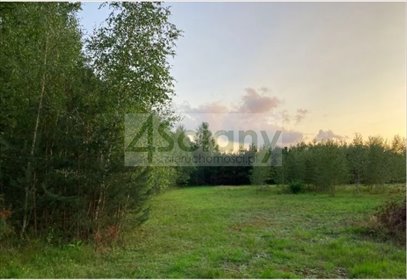 Zapraszam do zakupu działki 3000 m² z mediami w Siestrzeni działka Siestrzeń