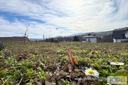 działka na sprzedaż 1112m2 działka Siołkowa