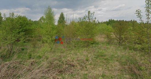 Działka 5300 m² z mediami (MPZP) w Henryków-Urocze działka Henryków-Urocze