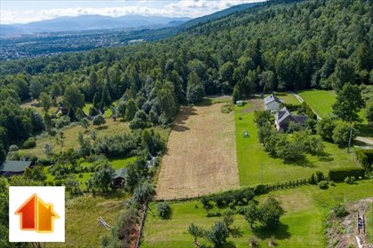 działka na sprzedaż 3784m2 działka Buczkowice, Jama