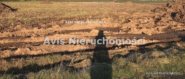 Działka budowlana 1941 m² z mediami i badaniami geotechnicznymi działka Wierzbna