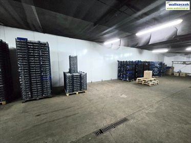 Hala chłodnia 360m² z rampą do wynajęcia. lokal użytkowy Piotrków Trybunalski