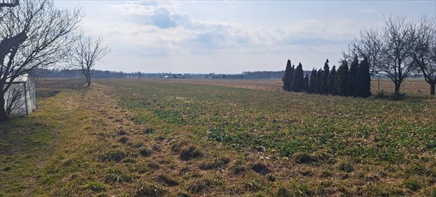 działka na sprzedaż 5172m2 działka Radawiec Mały